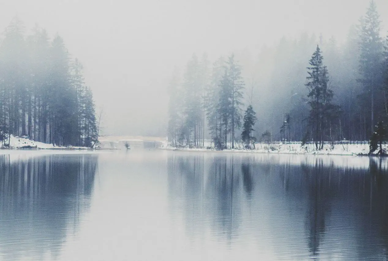 Enjoying Everyday Life